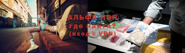 сатива Алзамай