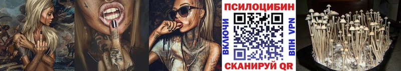 Псилоцибиновые грибы Psilocybine cubensis купить наркоту Плавск